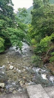 京都のきれいな川 京都のきれいな川の写真