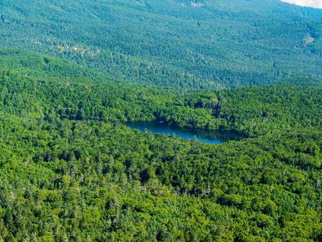にゅう山頂からの白駒池 八ヶ岳,にゅう,天狗岳の写真素材