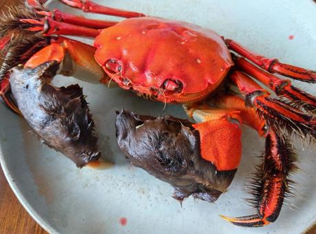 お皿に茹でモクズガニ 茹で蟹,河川,カニの写真素材