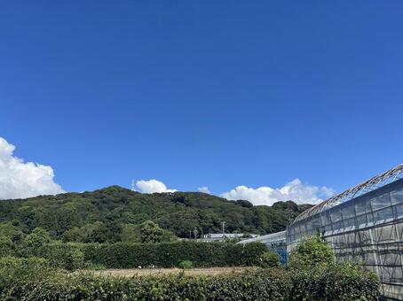 夏　夏空と山とビニールハウス 夏,夏空,夏休みの写真素材