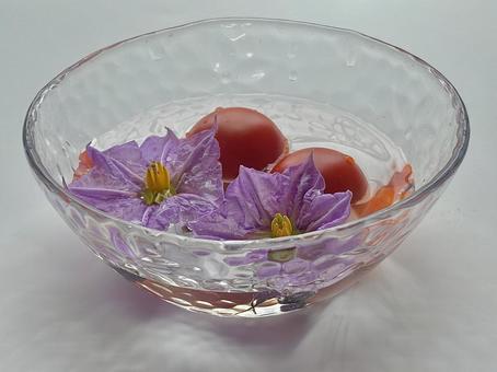 ガラスボウルに入ったナスの花とトマト ガラスボウルに入ったナスの花とトマトの写真