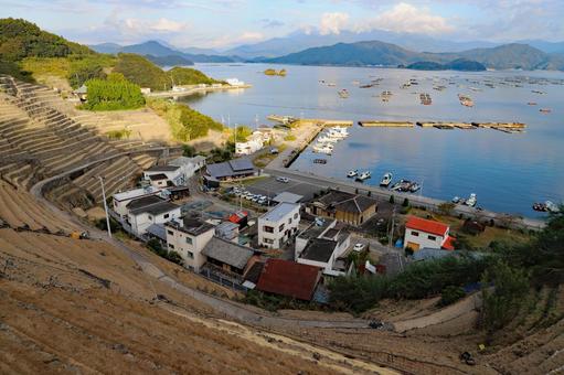 遊子水荷浦の段畑7 遊子水荷浦の段畑7 遊子,水荷浦,段畑の写真素材