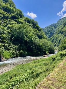 Hình ảnh, hẻm núi qingjin, niigata prefecture, tham quan niigata, 