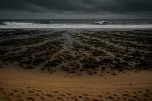 引き波で露出する海底 引き波で露出する海底の写真