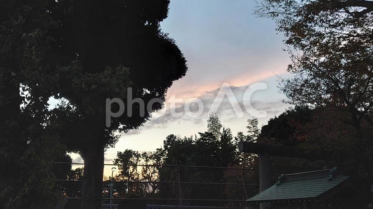 神社から見上げた夕暮れ そら,街,夕暮れの写真素材