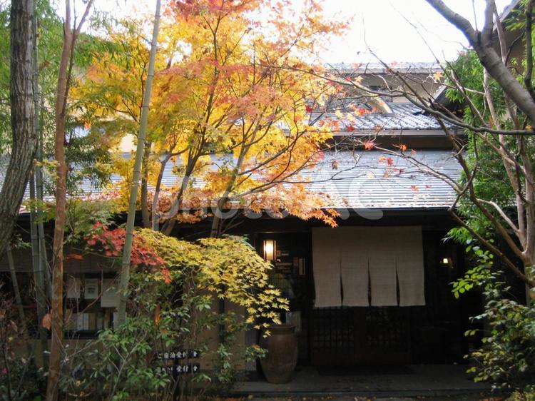 秋　旅館　イメージ 秋,紅葉,旅館の写真素材