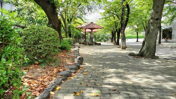 京都 町家 京都 町家 京都,町家,公園の写真素材