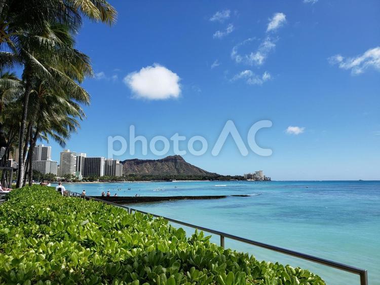 ワイキキで見れる海 海,南国,ハワイの写真素材