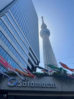 スカイツリー スカイツリー スカイツリー,タワー,墨田区の写真素材