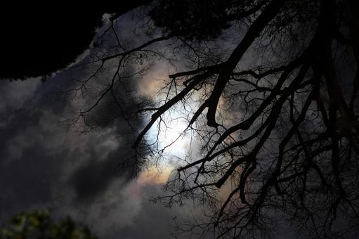 Photo, sky, reversal, water surface, 