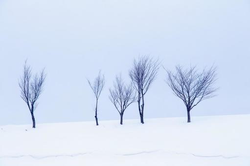 雪に踊る木々、イメージ処理 雪に踊る木々、イメージ処理の写真
