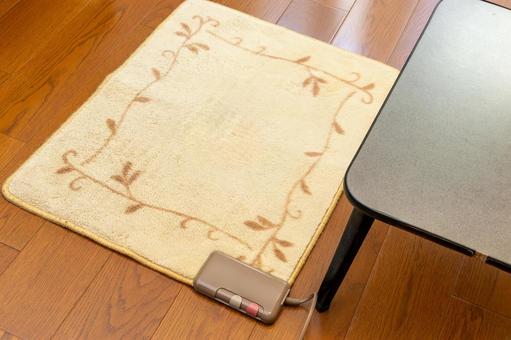 フローリングの上に敷かれた電気カーペット 電気カーペット,カーペット,暖かいの写真素材