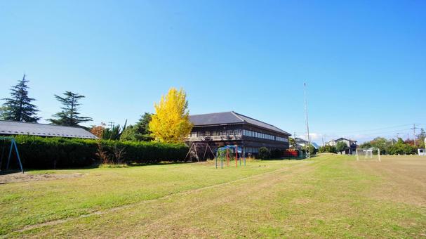 秋の公園の芝生の写真