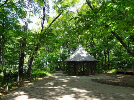 樹木に囲まれた三井の森公園 三井の森公園,公園,自然の写真素材