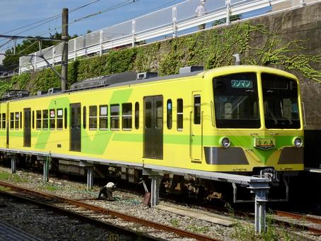 流鉄流山線 5000系 菜の花 流鉄流山線 5000系 菜の花 流鉄,流山線,5000系の写真素材