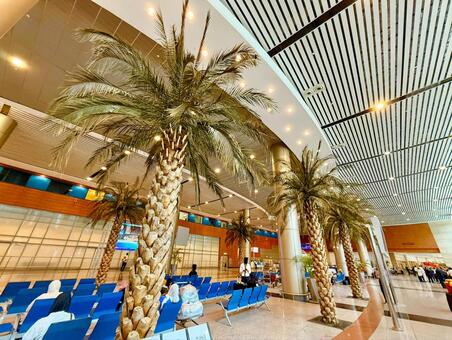 カイロ国際空港の到着ロビー 空港,エアポート,ターミナルの写真素材