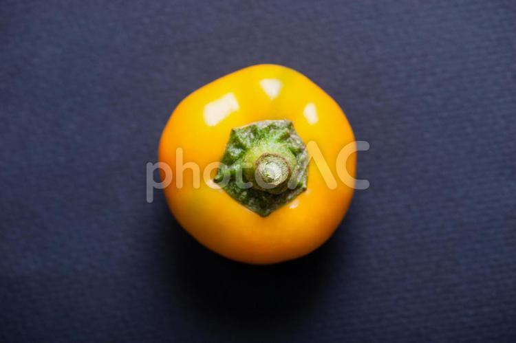 柿　かき　果物　フルーツ かき,柿,果物の写真素材