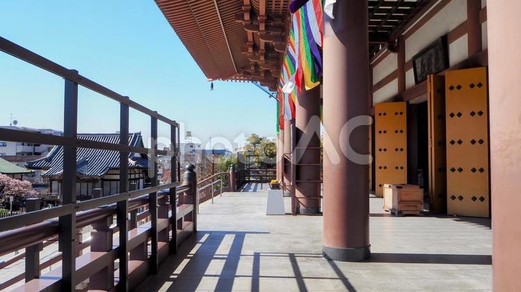 早春の西新井大師の境内（足立区・西新井） 早春,西新井大師,境内の写真素材