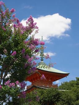 夏空と三重塔と百日紅 夏空と三重塔と百日紅の写真