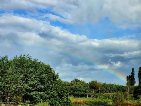 虹 屋外,背景,虹の写真素材