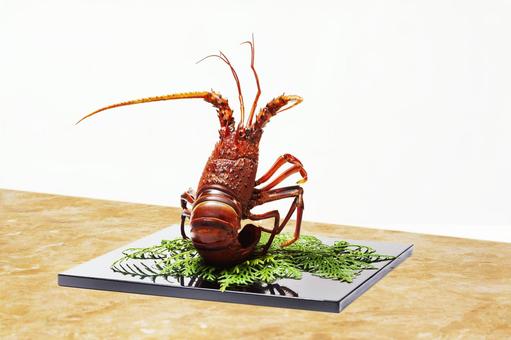 茹でた伊勢海老の飾り9 茹でた伊勢海老の飾り9 伊勢海老,エビ,正月の写真素材