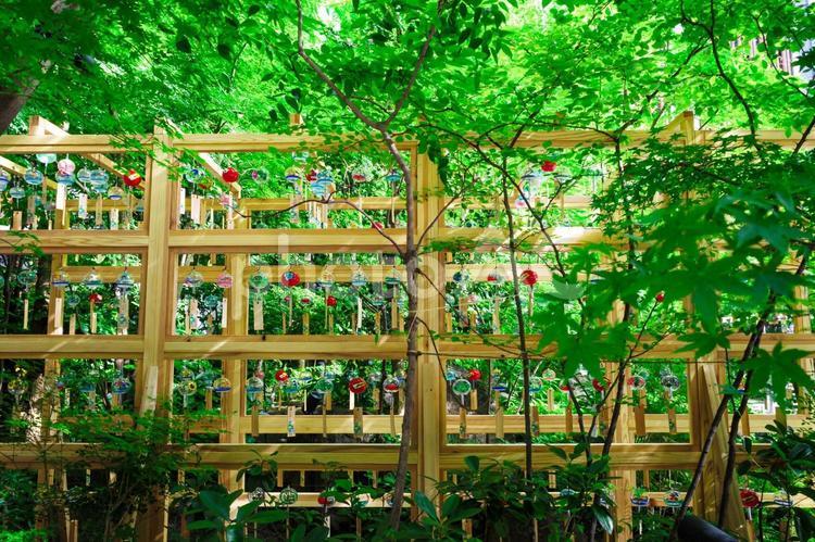森の風鈴小路5 風鈴,夏,福徳の森の写真素材