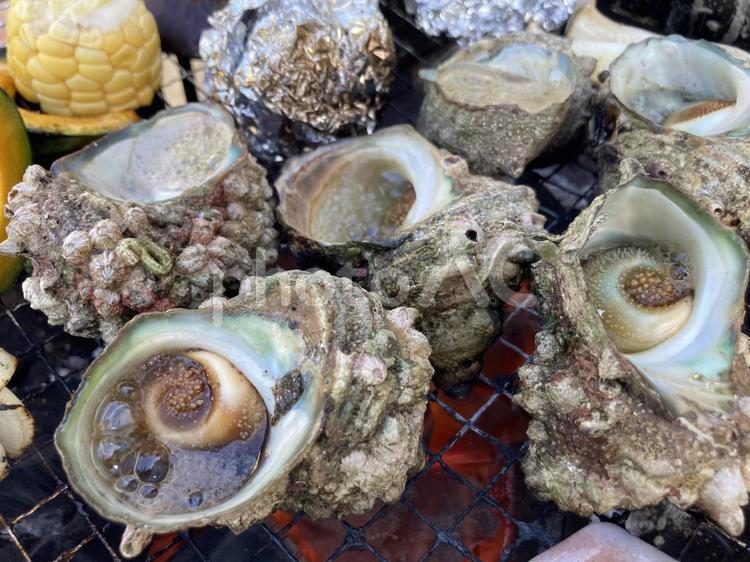 サザエの壺焼き サザエ,バーベキュー,磯焼きの写真素材