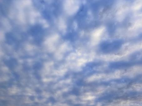 【空の写真】秋空 秋空,空,雲の写真素材