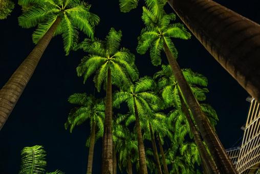 【シンガポール】ショップスの写真