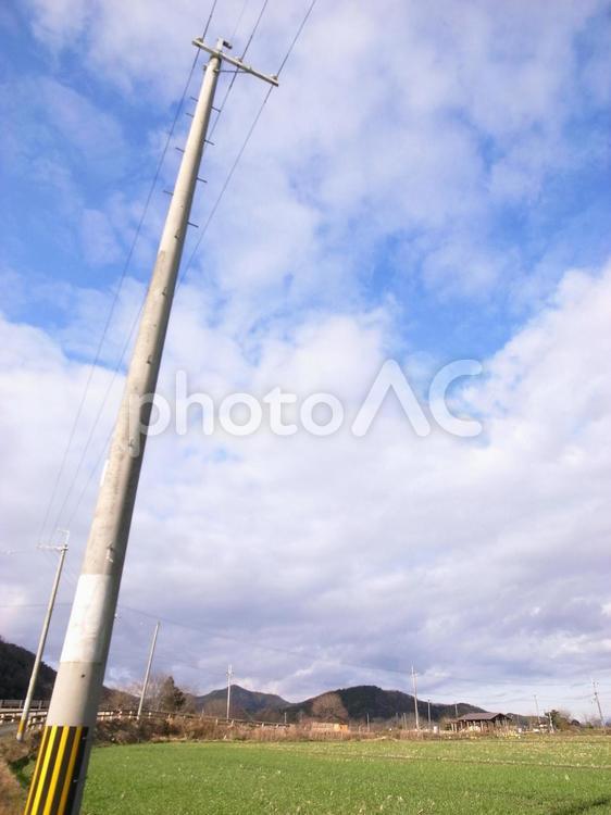 電柱と田園（滋賀県） 電柱,近江八幡,滋賀県の写真素材