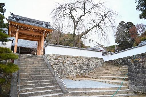 松平郷本松山高月院 松平郷本松山高月院 本松山高月院,高月院,松平の写真素材
