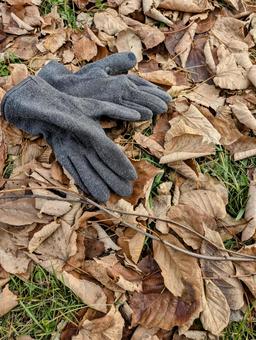 初冬のある暖かい日② 自然,風景,初冬の写真素材
