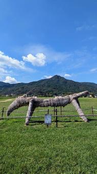 やよいの風公園 やよいの風公園 やよいの風公園,散歩,史跡の写真素材