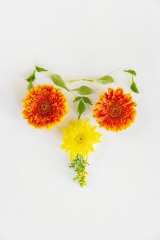 花と葉で作った子宮 生理,月経,子宮の写真素材