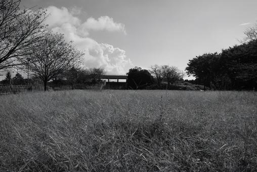 公園の広場 公園の広場 公園,広場,晴れの写真素材