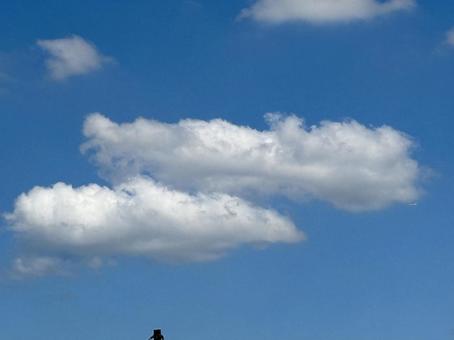 【風景写真】夏空 【風景写真】夏空の写真