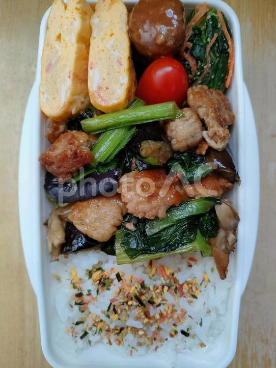 豚ひき肉小松菜なす中華炒めのお弁当！ お弁当,お昼ごはん,お昼の写真素材