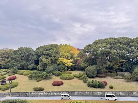 秋の代々木公園通り 代々木公園,秋,代々木公園通りの写真素材