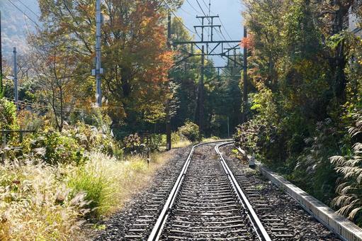 線路 線路,風景,電車の写真素材