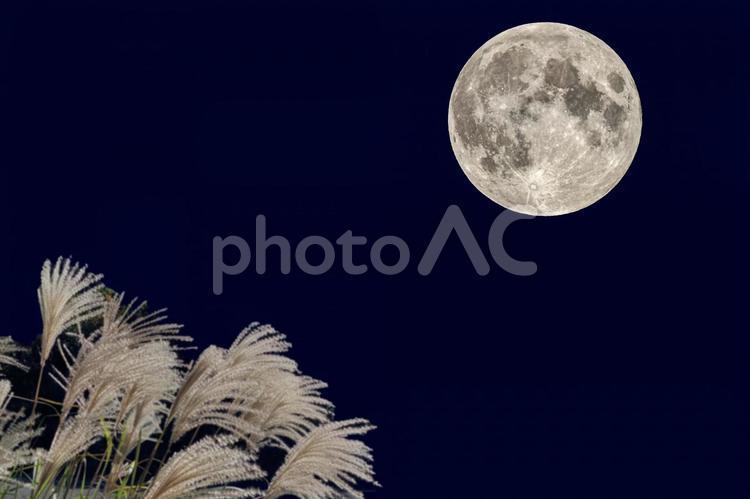 秋のお月見 お月見,秋,月の写真素材