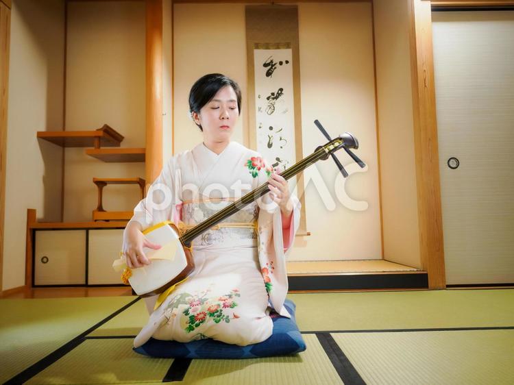 33：三味線を演奏する和服の女性 三味線,着物,伝統芸能の写真素材