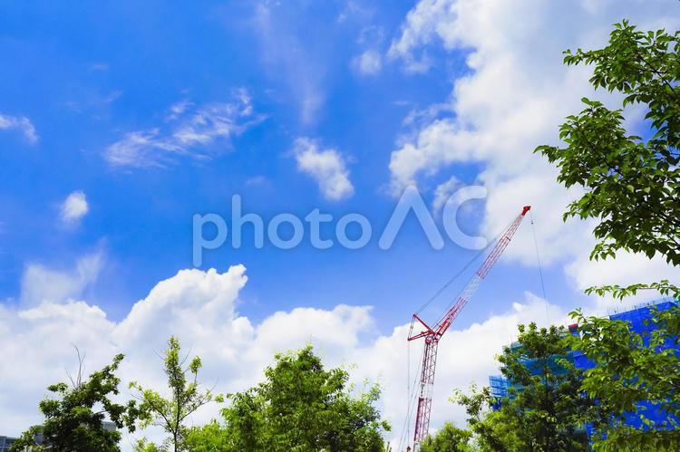 青空と大型クレーン さわやか,青空,木の写真素材