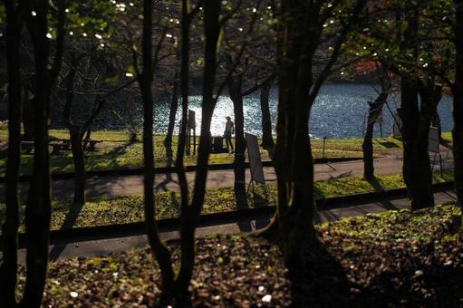 秋の公園と水辺 秋の公園と水辺 水辺,湖,ダム湖の写真素材
