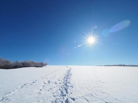 雪景色・冬の登山道(高ボッチ山) 雪景色・冬の登山道(高ボッチ山) 高ボッチ山,北アルプス,山の写真素材