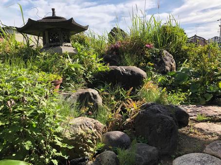 日本庭園 日本庭園の写真