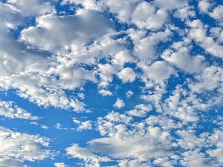穏やかな空模様に癒やされる♪ 穏やかな空模様に癒やされる♪の写真