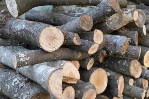玉切りして積み重ねた薪材　斜めアップ 薪,木,丸太の写真素材