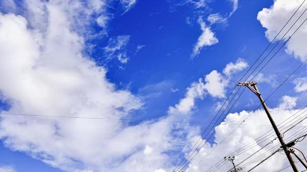 電柱 電柱の写真
