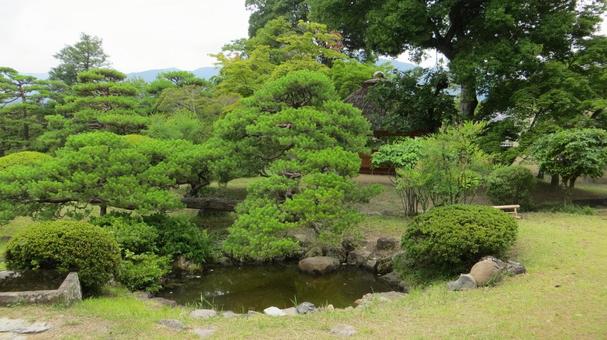 真田邸 庭園 水心秋月亭 真田邸 庭園 水心秋月亭 の写真