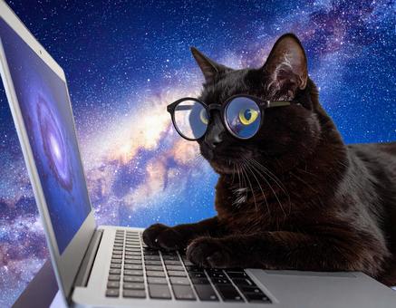 宇宙で仕事をする猫 宇宙で仕事をする猫の写真